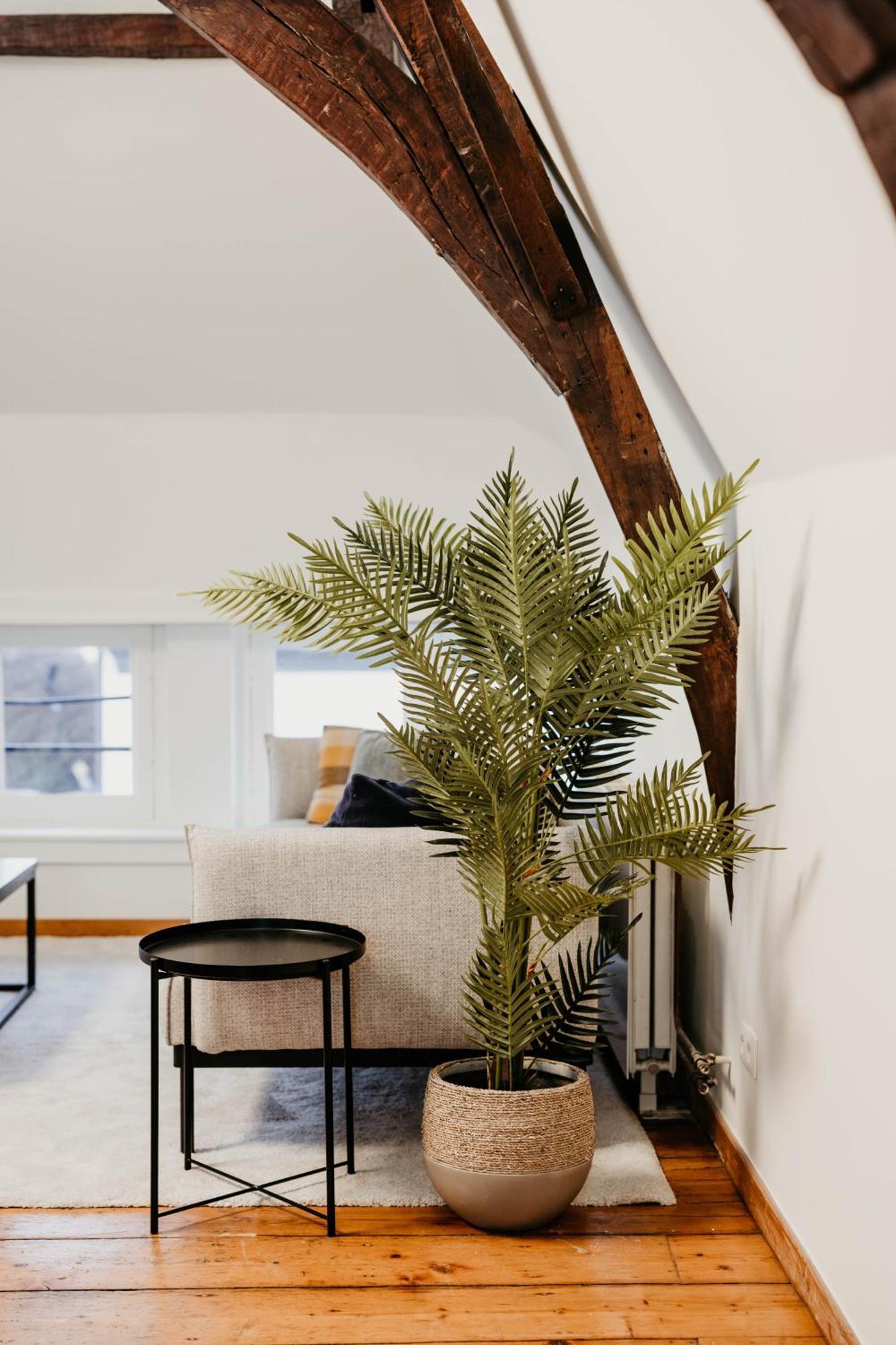 Gorgeous Duplex In Old Centre *