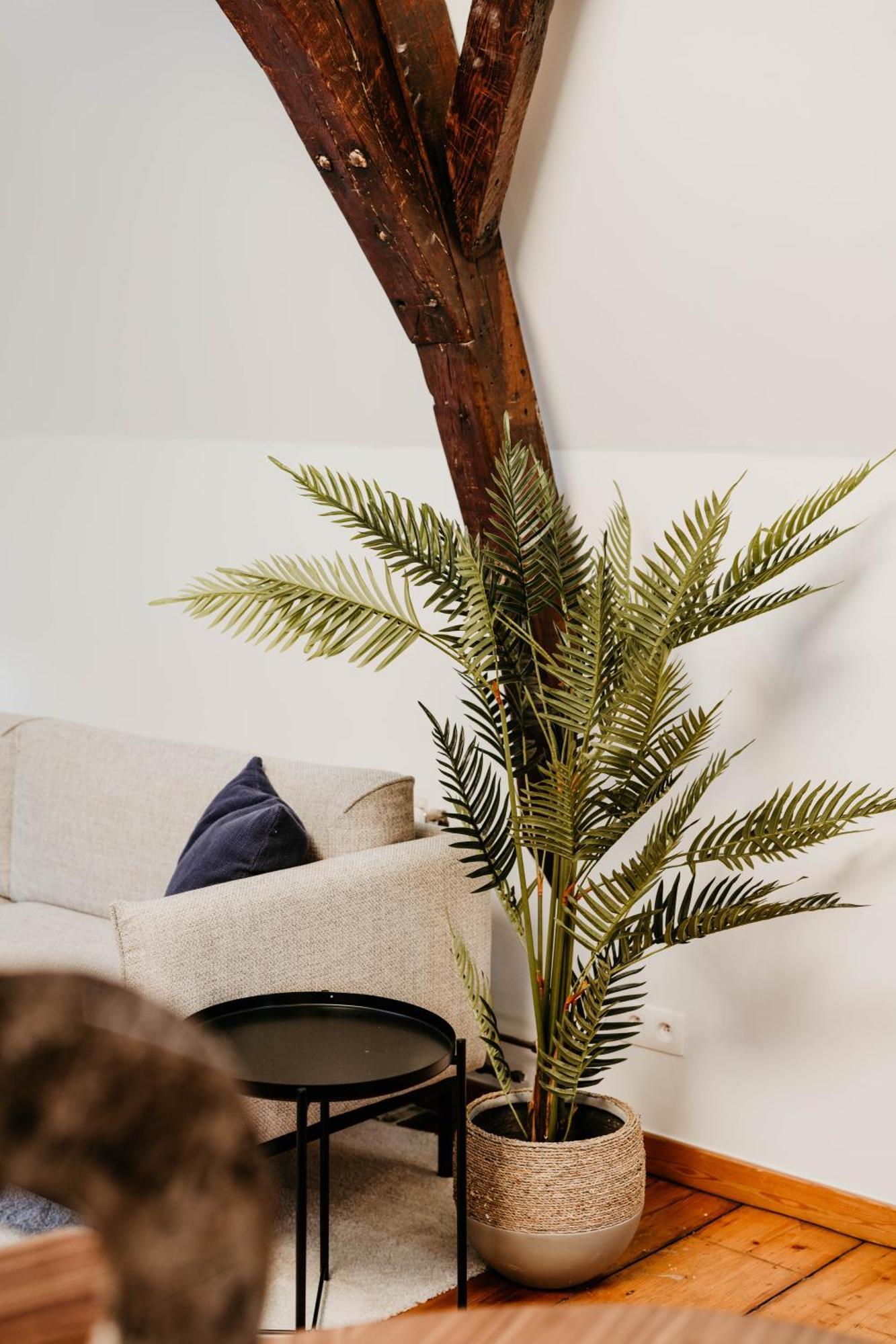 Gorgeous Duplex In Old Centre Apartment Antwerp